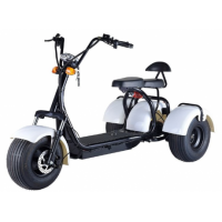 Трицикл ELECTRODRIVE CITYCOCO TRICYCLE SMD 3-2 NEW (SMD302)