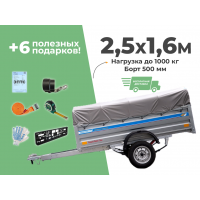АВТОМОБИЛЬНЫЙ ПРИЦЕП КРЕМЕНЬ "БИЗНЕС" 2,5X1,6М (БОРТ 500ММ)