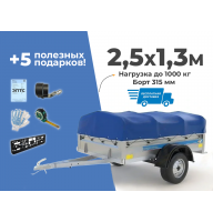 АВТОМОБИЛЬНЫЙ ПРИЦЕП КРЕМЕНЬ "СТАНДАРТ ПЛЮС" 2,5X1,3М (БОРТ 315ММ)