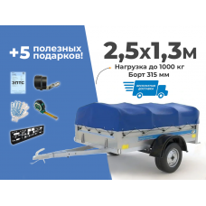 АВТОМОБИЛЬНЫЙ ПРИЦЕП КРЕМЕНЬ "СТАНДАРТ ПЛЮС" 2,5X1,3М (БОРТ 315ММ)